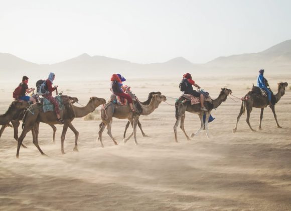 النظام الغذائي النباتي - الوعد بصحة جيدة image 40